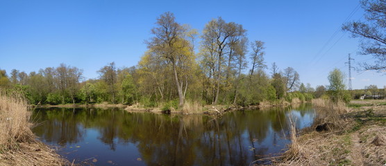 Panoramic landscape with pond