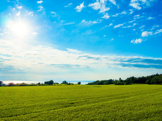 田んぼ　空　海