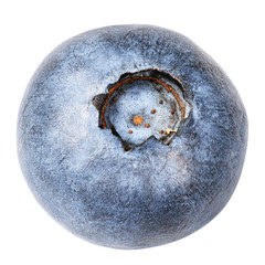 Blueberry berry isolated on white background with clipping path