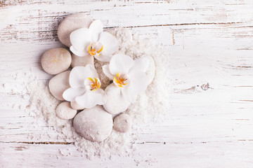 Orchid spa concept