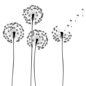 Fototapeta collection, for designers, plant vector