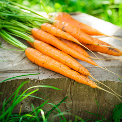 Fresh carrots