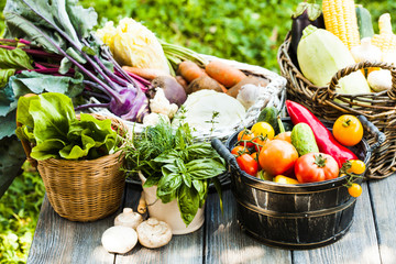 Vegetables on wooden table