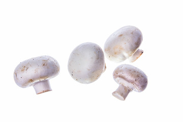 champignon mushrooms isolated on white background