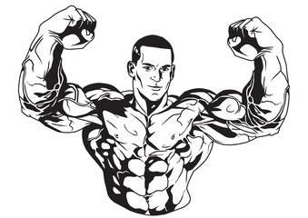 Fototapeta premium Biceps