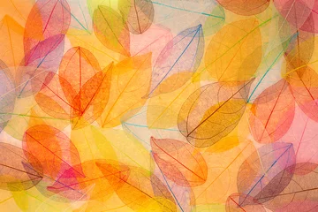 Foto op Canvas Autumn background © Sunny studio