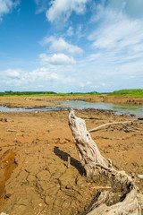 Image of dry river with blue sky