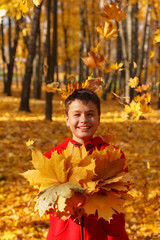 happy smiling boy with autumn leaves