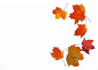 Rahmen aus Herbstlaub