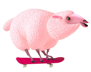 pink sheep