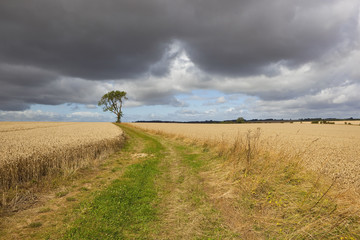 stormy farmland landscape