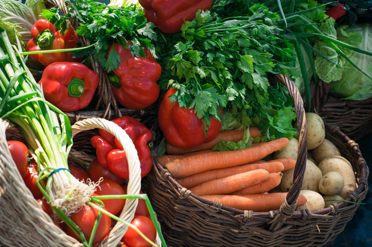 variety of vegetables in baskets