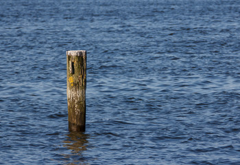 Holzpfosten im Wasser