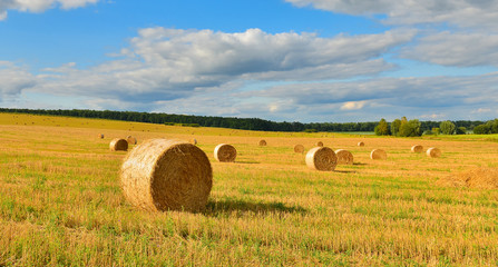 Haystack