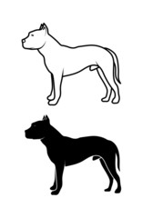 drawing of a dog of fighting breed