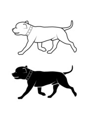 drawing of a dog of fighting breed