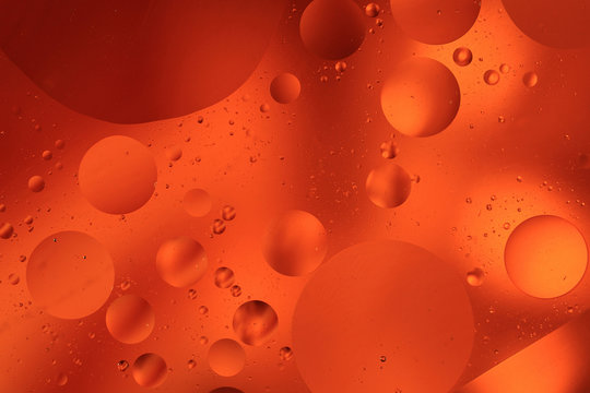Abstract