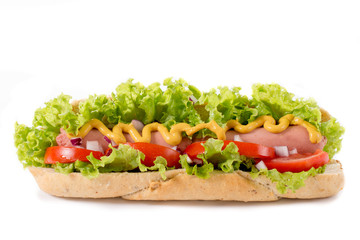 Hot dog isolated