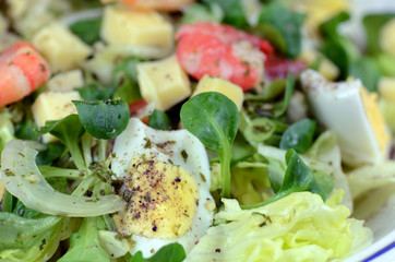 Eissalat mit Scampi