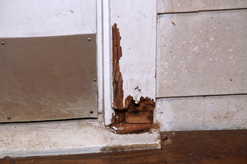 rotting door frame