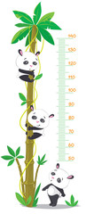 Obraz premium Meter wall with palm tree and three funny pandas