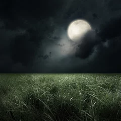 Foto op Plexiglas Gras green field at the moon light