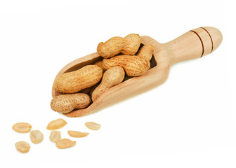 Pile of dry roasted peanuts in scoop isolated on white backgroun