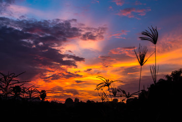 Obraz premium The morning light