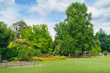 Fototapeta premium summer park