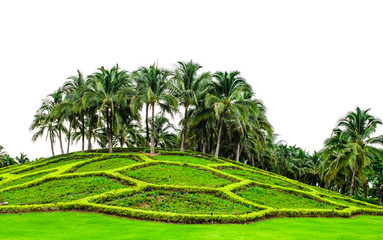 Fototapeta na wymiar Landscaped garden at Chiang Mai Royal Park