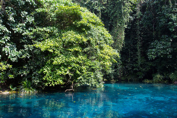 Blue Hole, Vanuatu