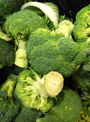 Broccoli is an edible green plant in the cabbage family