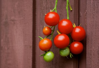 Cluster of tomatoes with wooden background.