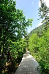 Fototapeta na wymiar hiking trail on jiuzhaigou national park in china 