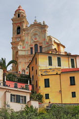 Cervo