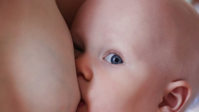 baby sucks mother's breast closeup