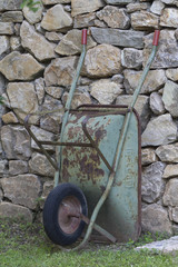 wheelbarrow in the garden