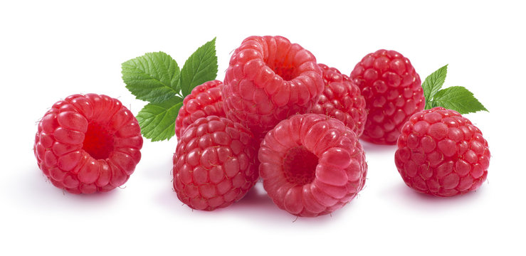 Raspberry with leaves horizontal composition solated on white ba