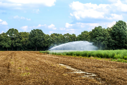 Irrigation