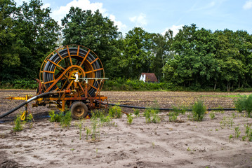 Field irrigation