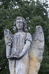 Fototapeta na wymiar Cmentarny anioł