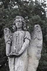 Cmentarny anioł