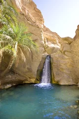 Fototapeten Wasserfall in Chebika eine Bergoase in Tunesien © TrudiDesign