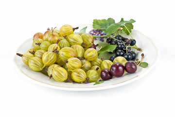 Gooseberries, cherries and black currants