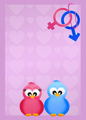 Obraz premium male and female symbol