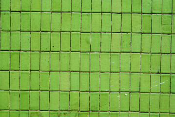Green Rectangular Tiles