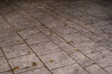 stone pavement texture