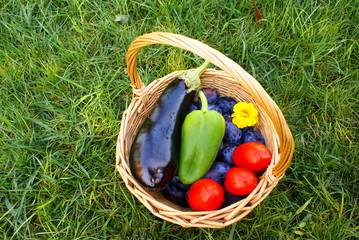 Basket with fresh vegetables and fruits