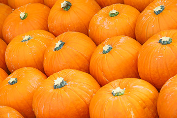 Colorful pumpkins