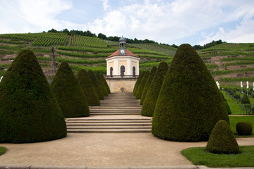 Naklejka premium Weingut Schloss Wackerbarth